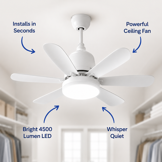 BONUS Lum Air Fan™